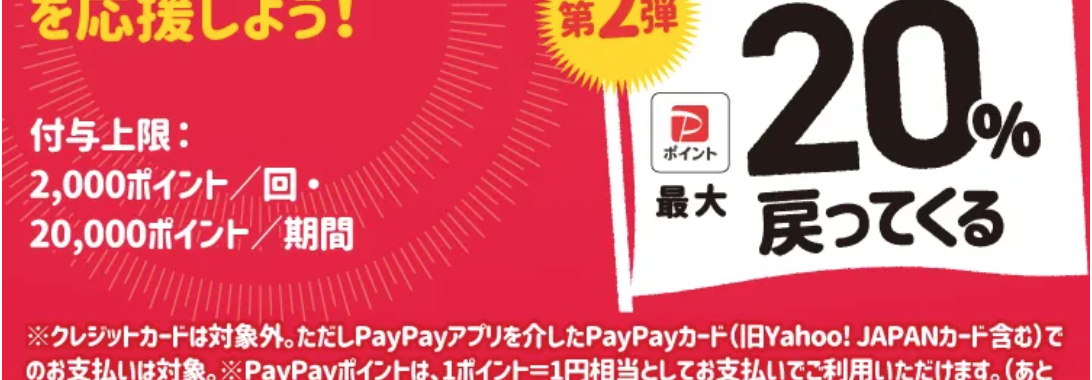 paypayキャンペーン